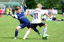 k-Sporthauscup 2017 (42).JPG